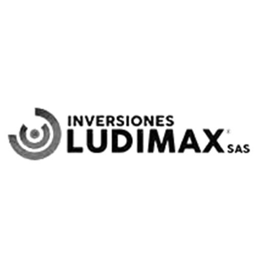 Ludimax